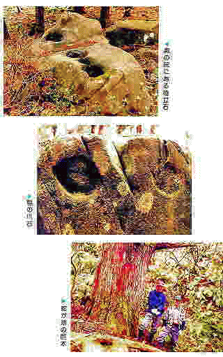 J_Љ̉@(΂܂̗鉮)