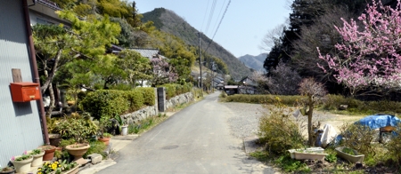 瘤木集落
