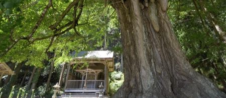 大歳神社(中千原)