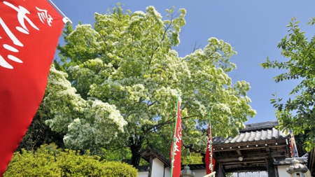 頼光寺(川北)