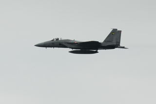 F-15 C[O