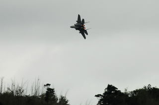 F-15 C[O