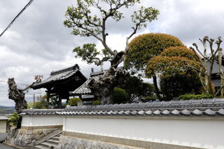 戒岩寺(宮津市波路)