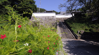 顕孝寺(宮津市大島)