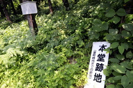 本堂跡と逆さ杉