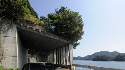 大島城址(宮津市大島)