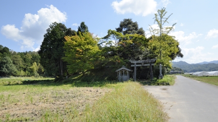 芦高神社(芦原)