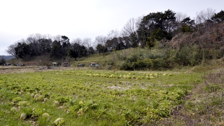 網野銚子山古墳