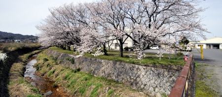 峯空園