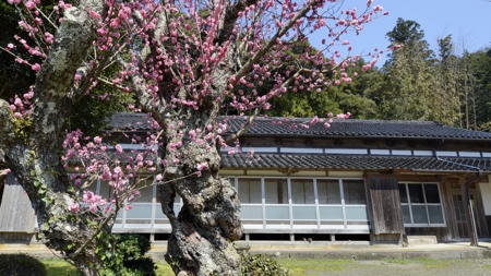 宝珠寺(谷内)