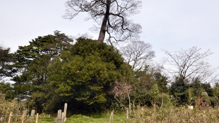 寛平法皇陵古墳