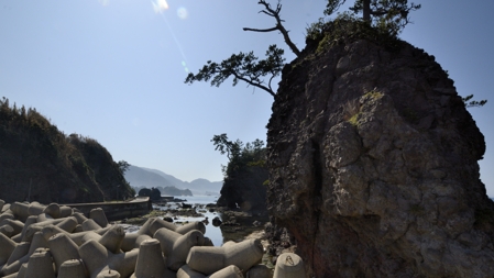 大島(中浜)