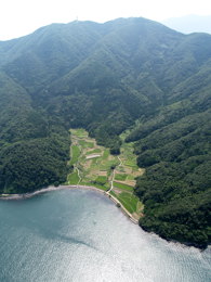 RFA̒J