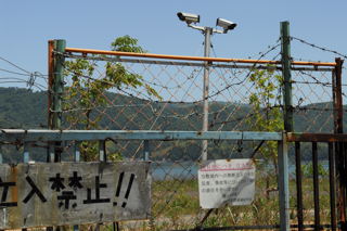 FlC