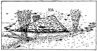 Ƃ΂ĂiQj