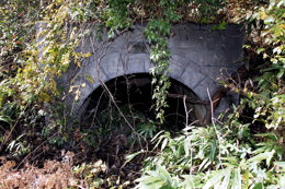河守鉱山坑道入り口
