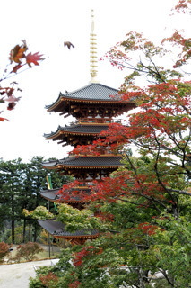 五重塔(成相寺)