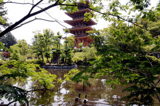 底なし沼(成相寺)