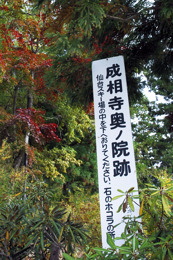 案内板(元本堂の跡を言っているよう)