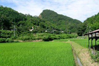白鳥山(西側の清道より。採石で北側が崩れている。山の右手の鞍部が白鳥峠)