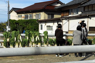 どこの学生なのかビデオ撮影中(宮川のもう一つ東の橋の上)
